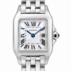 Santos de Cartier Demoiselle 20MM W25064Z5 Stainless Steel Watch
